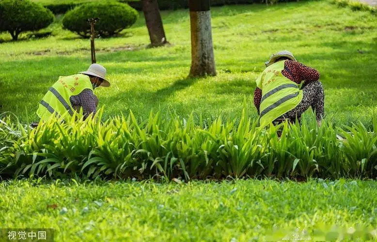 风景园林管理的难点：如何平衡人工布景与自然景观？