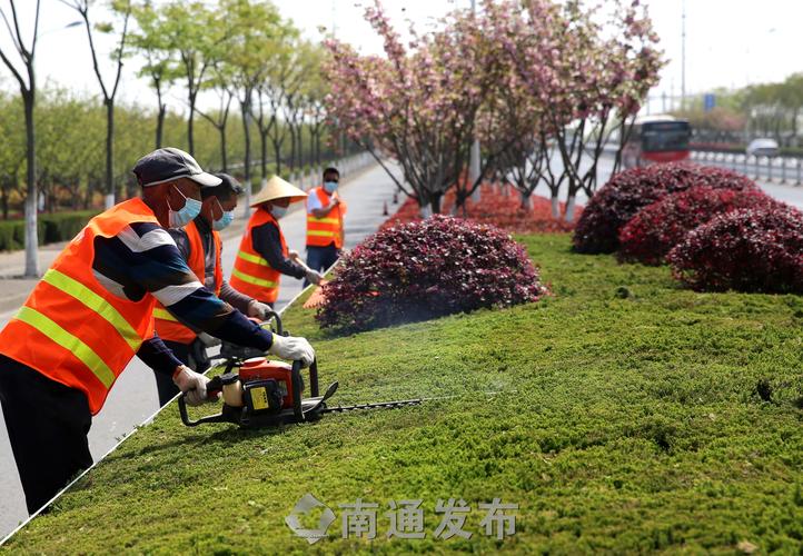 怎么玩绿化工程