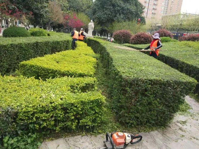 市政道路绿化工程保修期